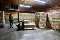 BROWN & WHITE EGGS FIOR EXPORTATION,