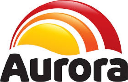Aurora Frozen Chicken