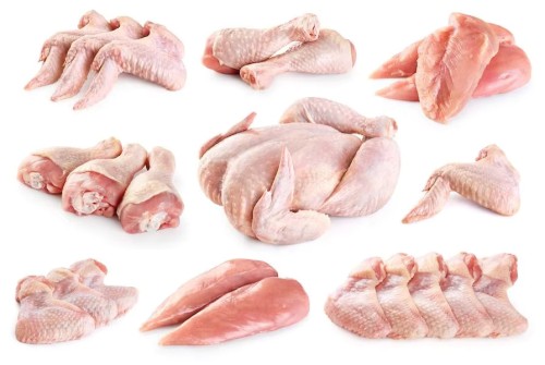 Frozen Chicken Wholesale Supplier & Halal Exporter to Congo