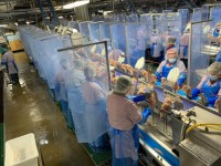 Brazil Frozen Chicken Exporter, Halal Frozen Chicken to Ghana, Mexico, Vietnam, the Philippines, Russia, Peru