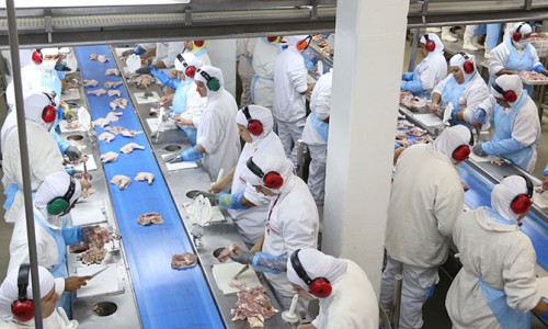Seara Frozen Chicken,Seara Chicken Export,Buy Seara Chicken Brazil,Brazilian Frozen Chicken Exporter