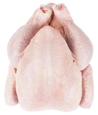 Premium Brazil Frozen Chicken Breast & Whole Chicken to Saudi Arabia,Chicken Exporter to Saudi Arabia