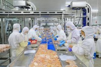 Frozen Chicken Wholesale Supplier & Halal Exporter to the Philippines