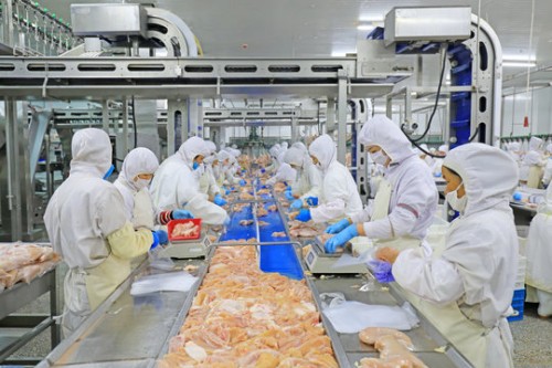 Frozen Chicken Wholesale Supplier & Halal Exporter to the Philippines
