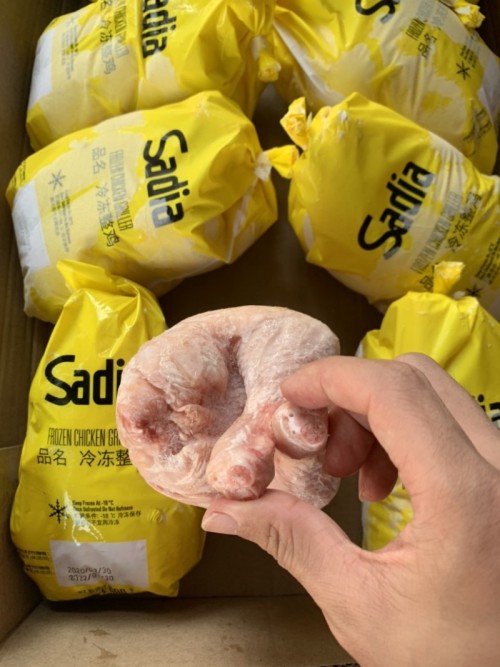 Brazil’s top halal frozen chicken exporter to the Middle East,Wholesale Halal Chicken from Brazil to the Middle East