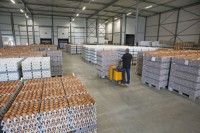 BROWN & WHITE EGGS FIOR EXPORTATION,