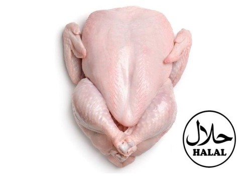 Brazil Frozen Chicken Wholesaler