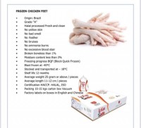 Frozen Chicken Exporter & Wholesale Brazil Origin