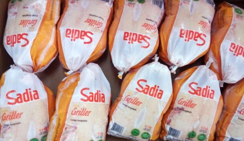 Frozen Chicken for Export to Saudi Arabia