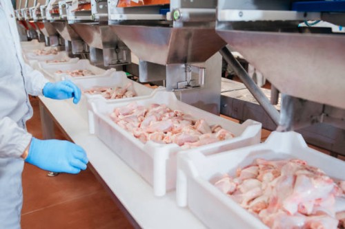 Frozen Chicken Wholesale to Ghana & Halal Exporter to Ghana