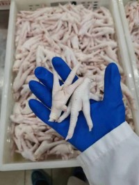 Frozen chicken feet to China, Frozen chicken Paws to China, Frozen Chicken Feet and Paws to China