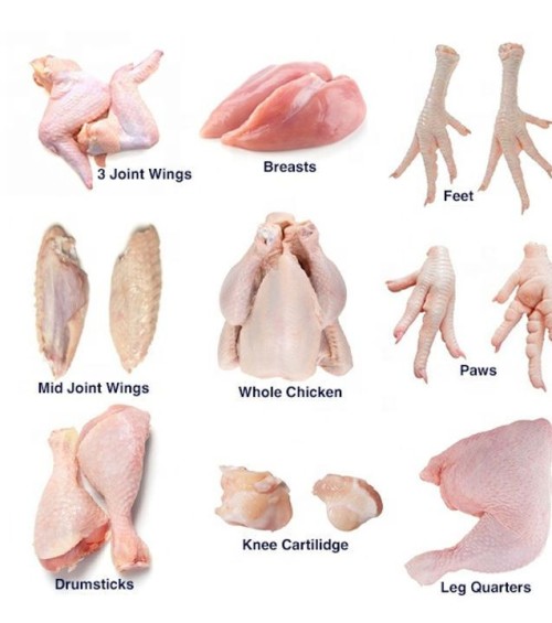 Mechanically deboned meat exporters