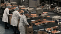 FRESH BROWN & WHITE TABLE EGGS