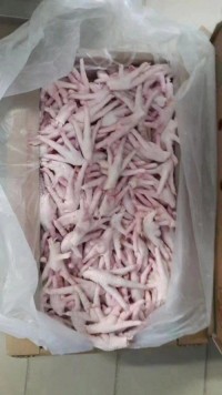 Frozen chicken feet to China, Frozen chicken Paws to China, Frozen Chicken Feet and Paws to China