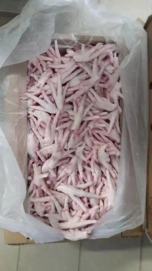Frozen Chicken Feet and Paws, Frozen Chicken Paws for sale, Processed Chicken Feet