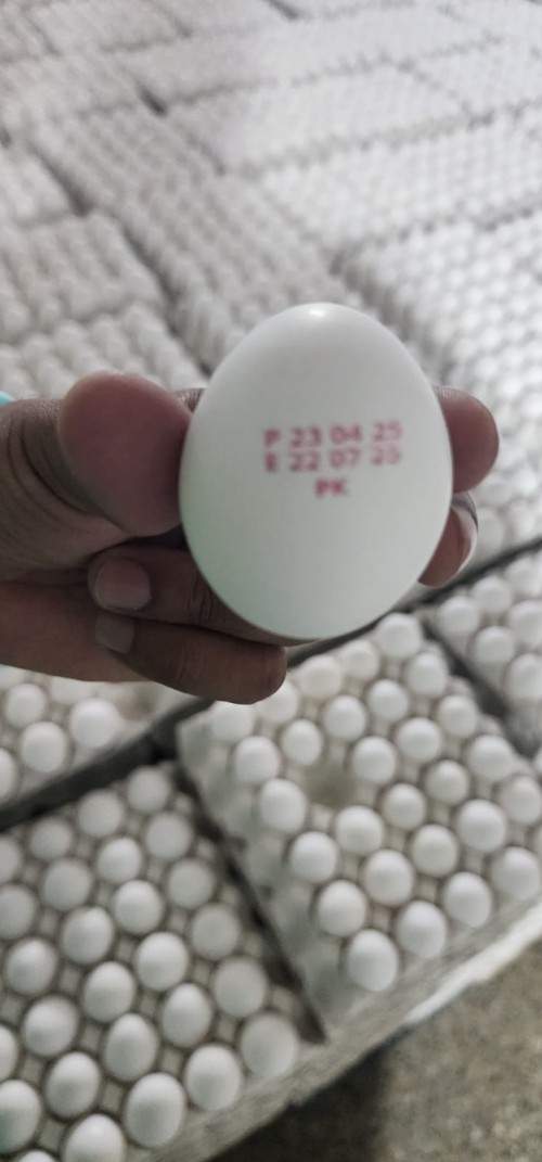 Brazil chicken eggs exporter to South Korea,White & brown table eggs to South Korea,Chicken egg supplier Brazil to Seoul