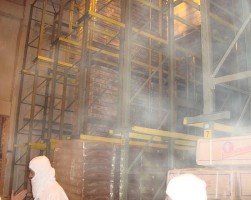Brazil Chicken to Algeria,Brazilian Frozen Chicken Export Algeria,Buy Chicken from Brazil to Algeria